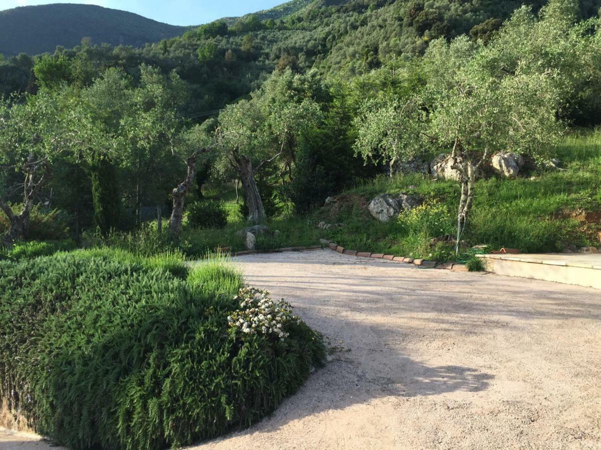 Valuable Rustic Tuscan Swimming Pool, Breathtaking View Of Camaiore Eksteriør billede